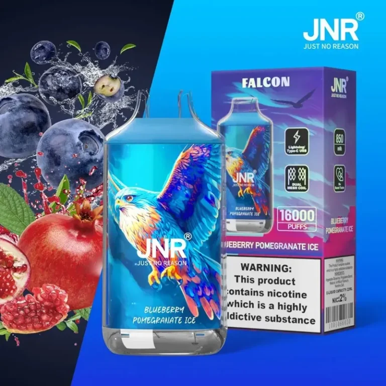 JNR Falcon 16000 — Blueberry Pomegranate Ice