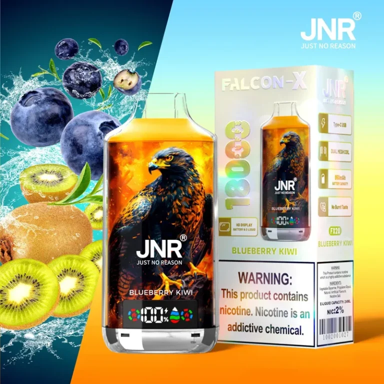 JNR Falcon X 18000 — Blueberry Kiwi